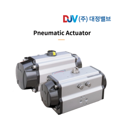 Daejung Valve Vietnam Pneumatic Actuator