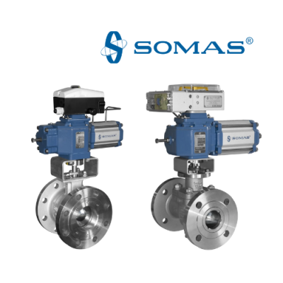 Somas Vietnam Ball segment valves