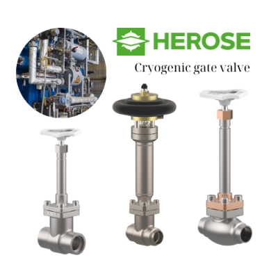 Herose Vietnam Cryogenic gate valve