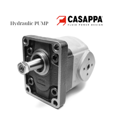 KP20.8D0-82E2-LEA/EA-N Casappa