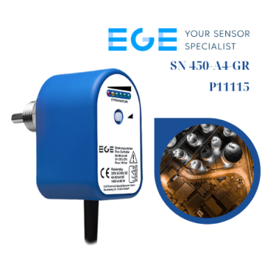 SN 450-A4-GR EGE-Elektronik