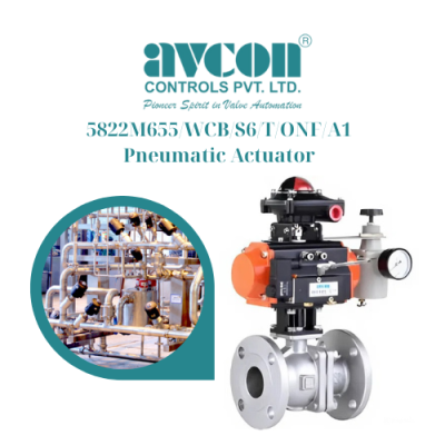 5822M655/WCB/S6/T/ONF/A1 AVCON CONTROLS