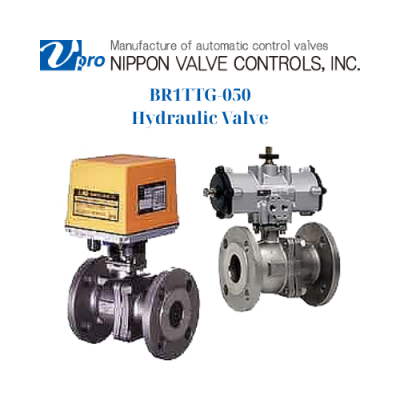BR1TTG-050 Nippon Valve Controls