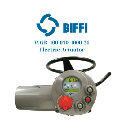 WGR-400-010/4000-26 Biffi