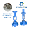Pneucon Valves Vietnam GOLBE 2 WAY CONTROL VALVE – SERIES 110