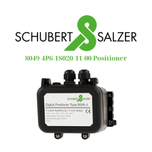 8049/4P6-1S020-11-00