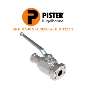 SKH DN40 SAE 3000psi DD 3123 1 Pister