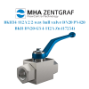 BKH-DN20-G3/4-112A Zn (17254)