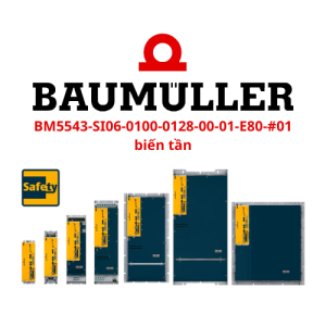 BM5543-SI06-0100-0128-00-01-E80-#01 biến tần Baumuller Reparaturwerk