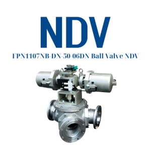 FPN1107NB-DN-50-06DN Ball Valve NDV