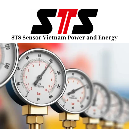 STS Sensor Vietnam Power and Energy