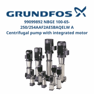 99099892 NBGE 100-65-250254AAF2AESBAQELW A Grundfos