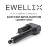 CAHB-10-B5A-020162-AAAAPA-000 Cylinders Fullset Ewellix - Medias SCHAEFFLER