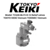 Model TCG30-06-FV-R-12 Relief valves TOKYO KEIKI Vietnam TOKIMEC Vietnam