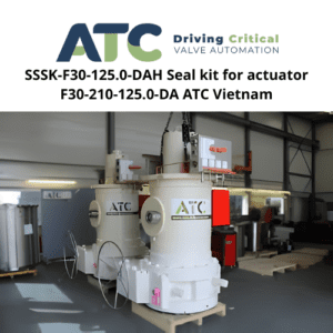 SSSK-F30-125.0-DAH Seal kit for actuator F30-210-125.0-DA ATC Vietnam